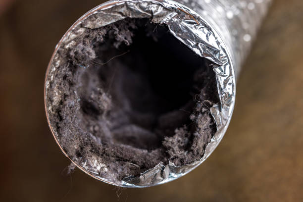Best Air Duct Cleaning Near Me  in Burnham, IL