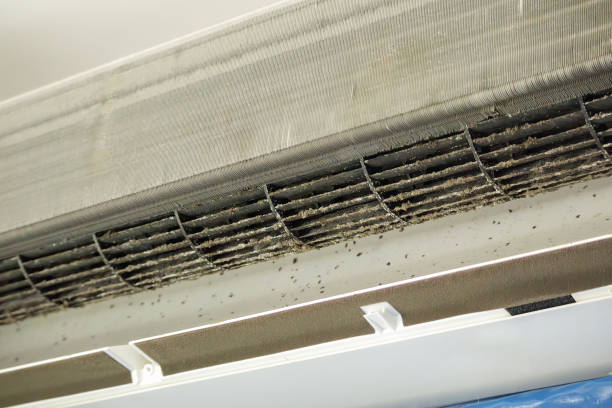 Best Air Duct Mold Removal  in Burnham, IL